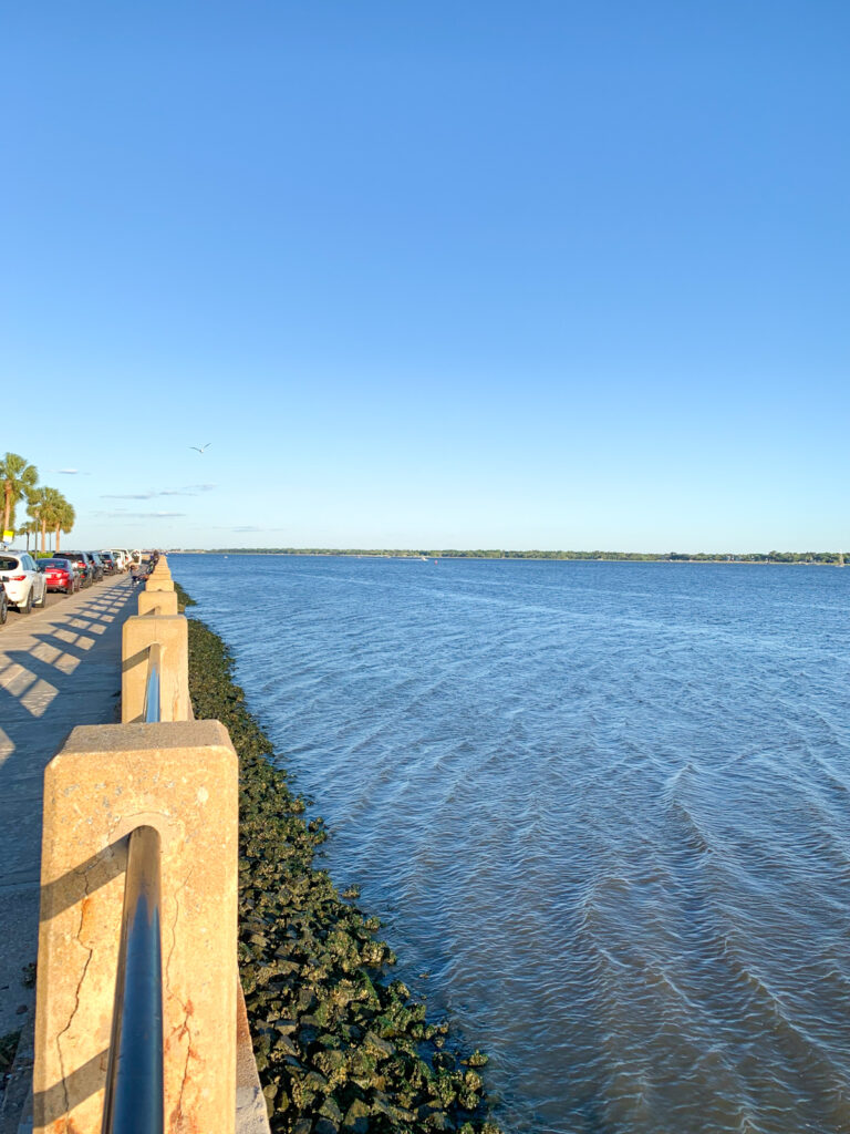 view of the battery and surrounding harbor at low tide in charleston.