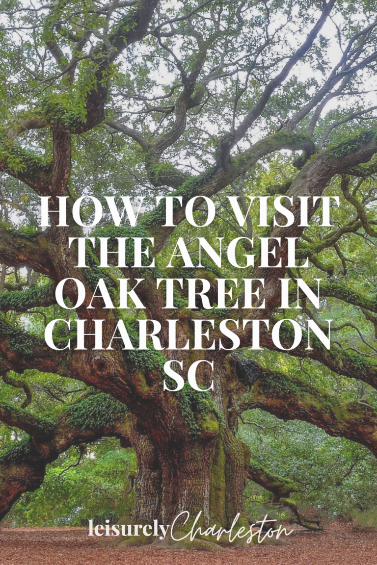 image of the angel oak tree and text overlay 'how to visit the angel oak tree in charleston sc'