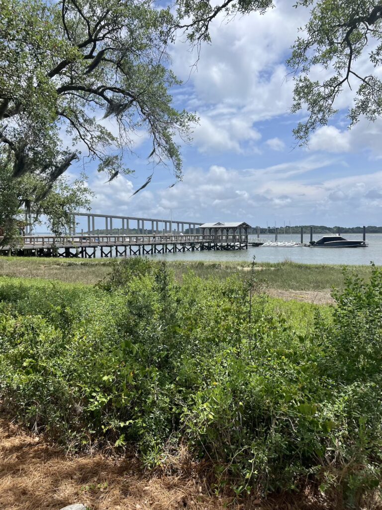 view on daniel island