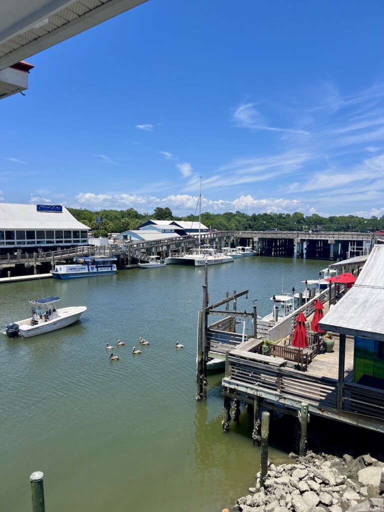 Shem Creek in Charleston SC with pelicans floating on the water